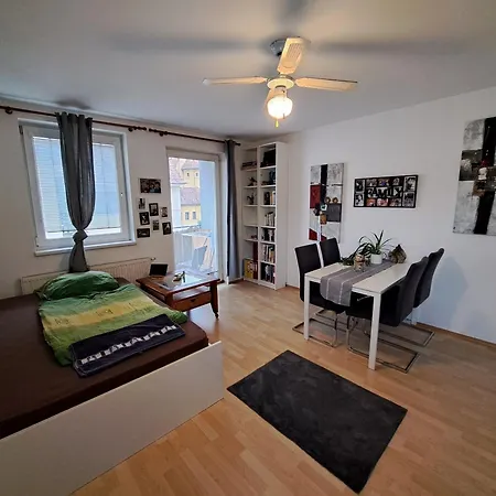 Im Herzen Von Mit Schlossberg Blick * グラーツ